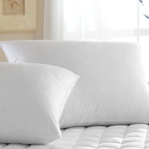 luxury duck feather and down pillow pair