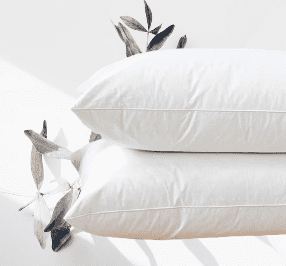 medium firm pillows 2 pack egyptian cotton cover for neck pain relief