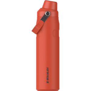 stanley water jug ice